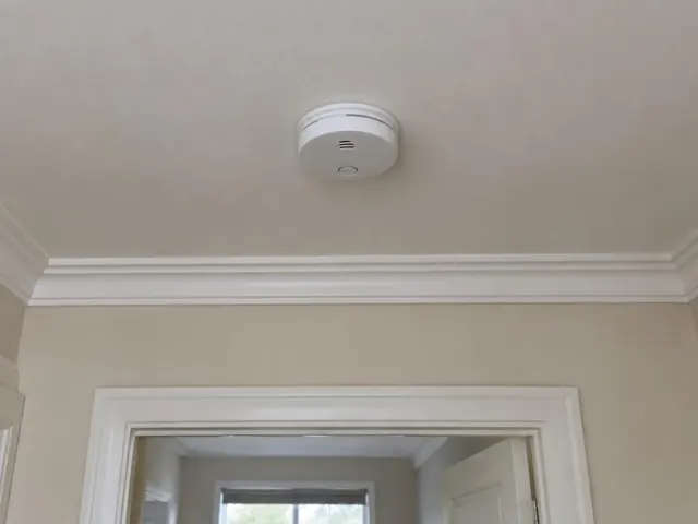 Ceiling-mounted smoke alarm in a hallway with decorative cornice and door frame in Sandgate
